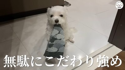 ナナくんとママさんのやり取り5