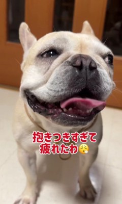 大満足なふく丸くんでした