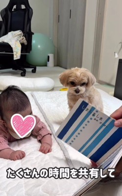 赤ちゃんの成長を…