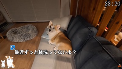 夜中に「体洗いましょう」と言ったら…