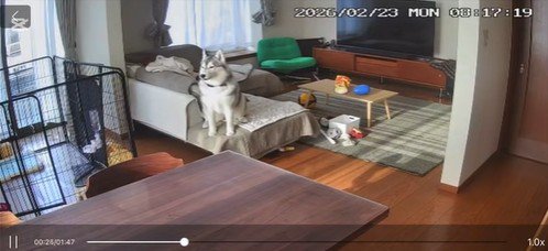 静かになりました