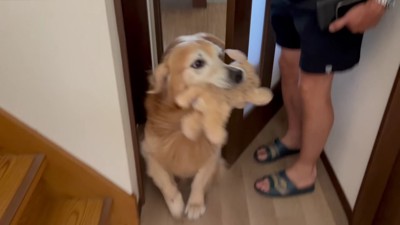 「寂しかった~」