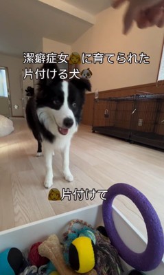 ボールを片付けるサンゴくん3