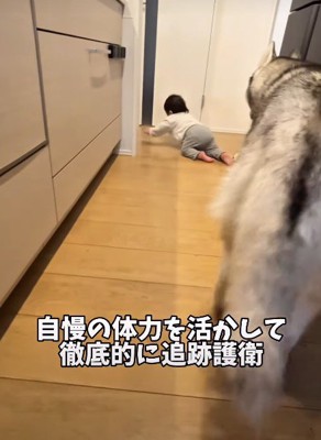 心配そうについていく