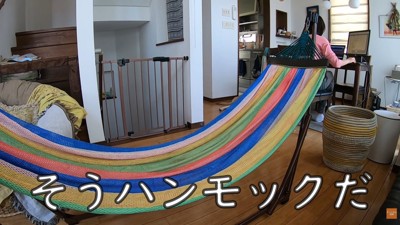ワンジロー君のためにハンモックを設置
