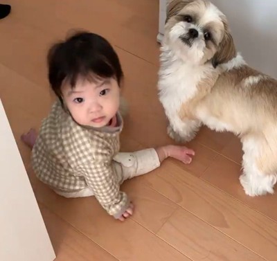 コロくんと赤ちゃんのシンクロ6