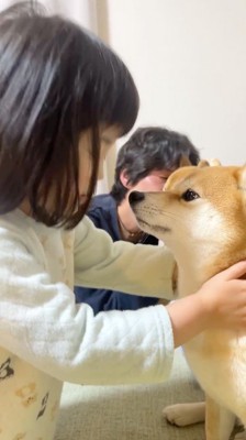 見つめ合う犬と女の子