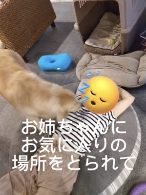 クッションで寝る姉