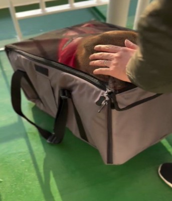 ダストボックスを開ける飼い主さん