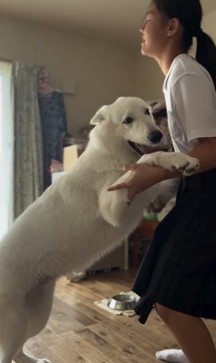 お姉ちゃん帰宅時のまる君3