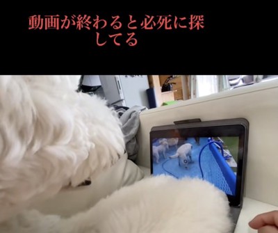 今でも会いたいよ