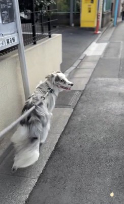 どんどん進みます