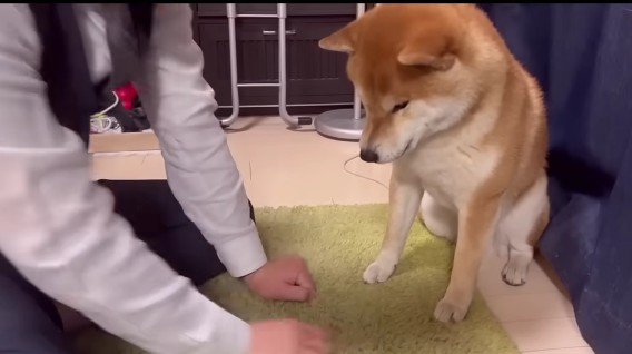 名前をどうしよう…?