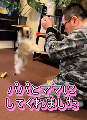 男性とじゃれ合って遊ぶ犬