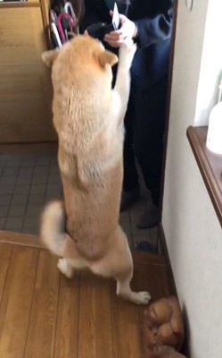 再会を喜ぶ朔くん