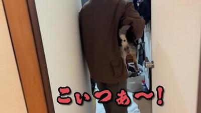 「やめろ～～！！」