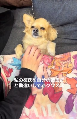 ウットリするワンコ