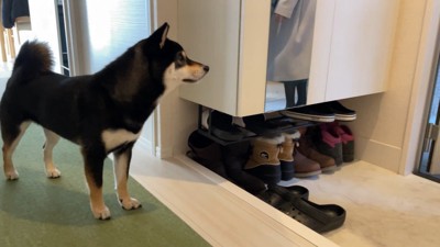 ママさんをお見送り