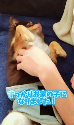 幸せを掴んだしずと君7