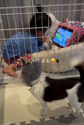 「どいてよ~」