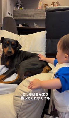 テンくんとニルくんと女の子の成長記録2