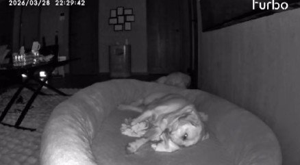 帰りたくてたまらない！！