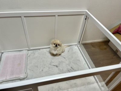 ちまっ