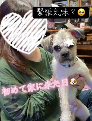 ちょっぴり緊張気味