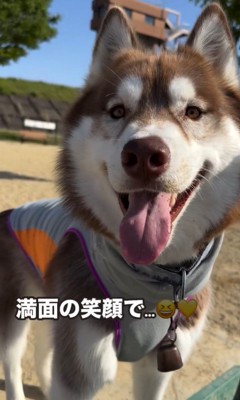 ボール遊びをするZIGGYくん&光合成をするMARLEYくん2