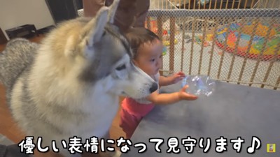 優しいもんちゃん