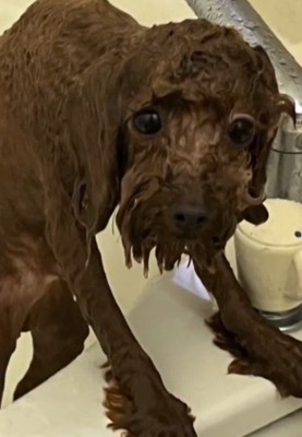 ビフォアフすごい！！