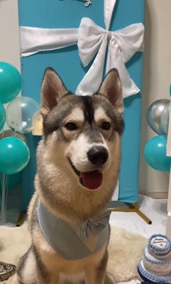 ムウくんの成長⑩