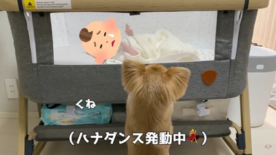 ハナちゃんのあやし方7