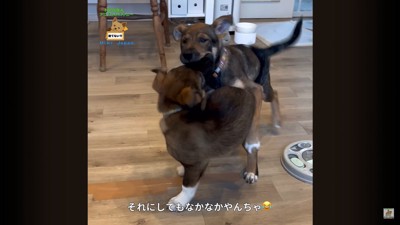 詩音くんと花音ちゃんが幸せを掴むまで4