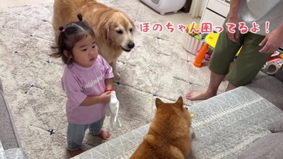 「ほのちゃんに貸してあげて！」