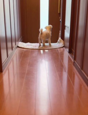 「そろそろ来る？」