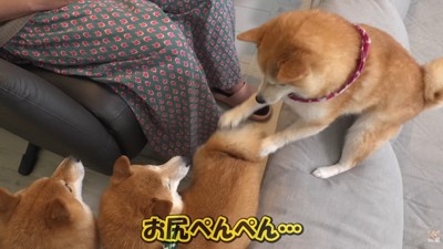 お尻ペンペン!