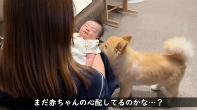 「疲れちゃった？」とまだ心配…