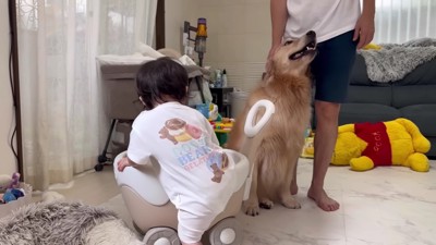 まだ物足りない!