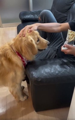 マリンちゃんをなでるお兄ちゃん