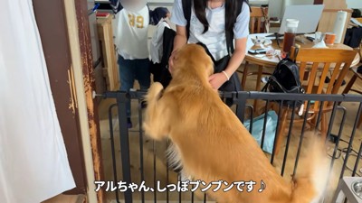 嬉しすぎるアルト君