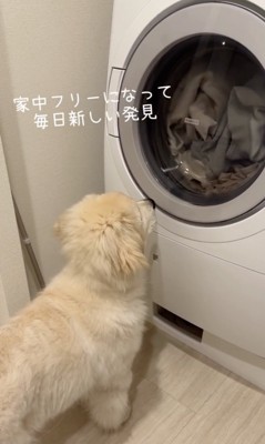 可愛すぎる後ろ姿