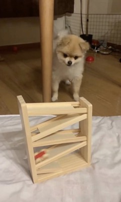 100%のシンクロ度