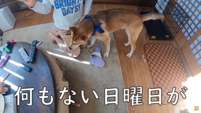 何もない日曜が特別に