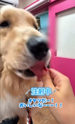 注射を打たれても気付かない