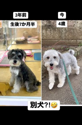 現在の姿に感動!