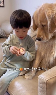 一切れちぎり中