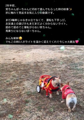 車椅子のライトくんとお友達8