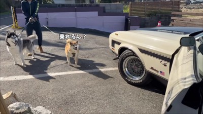 特別な車も出してくれた