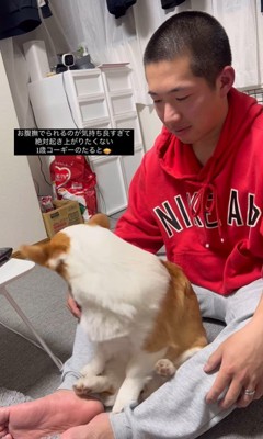 撫でられたいたるとちゃんVSパパさん7